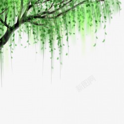 卡通装饰绿色树枝树叶插画立夏元素素材
