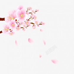 卡通装饰桃花花朵植物漂浮元素素材
