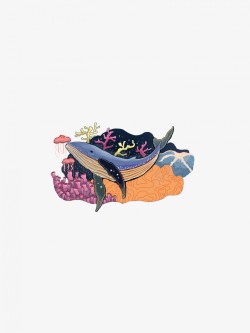 11插画游泳生物蓝鲸素材