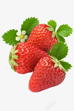 水果新鲜草莓PNG素材