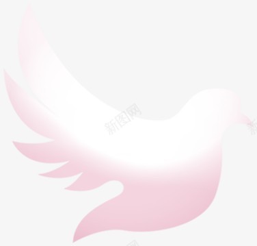 粉色素材飞鸽png免抠素材_新图网 https://ixintu.com 粉色素材 粉色鸽子 卡通鸽子