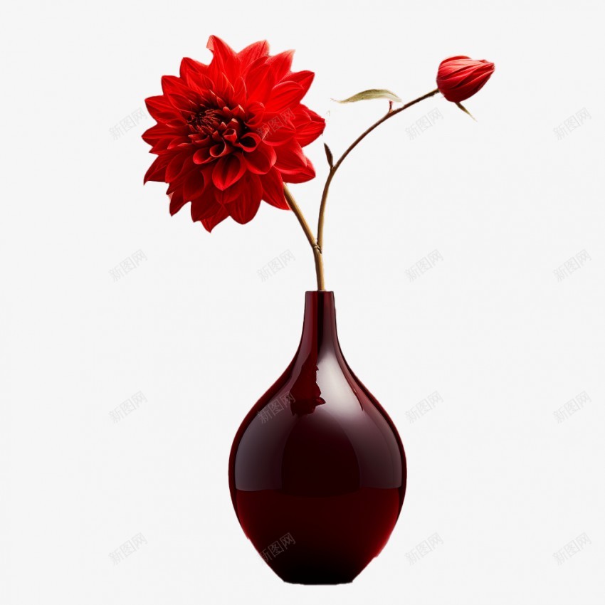 一枝装在花瓶里的大丽花png免抠素材_新图网 https://ixintu.com 大丽花 一枝装在瓶子里的花 红色的花 富贵花 红色的大丽花 优美的花 一枝红色的花