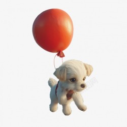 身上带有气球的小狗素材