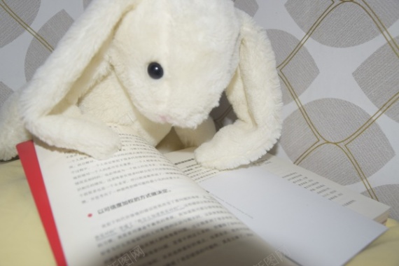 在看书的兔子玩偶摄影图片