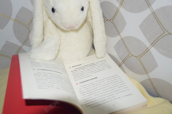 在看书的兔子玩偶jpg_新图网 https://ixintu.com 兔子 可爱 玩偶 白色 看书