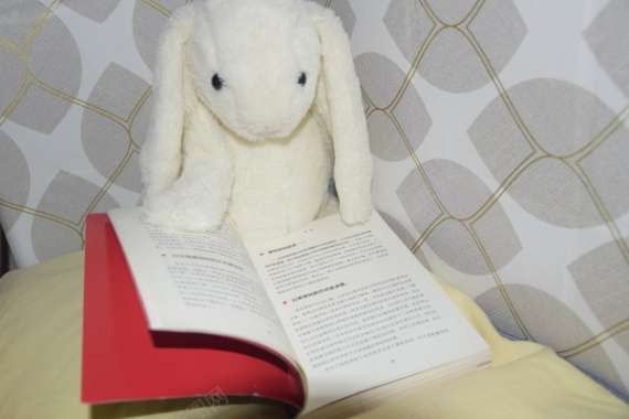 在看书的兔子玩偶摄影图片