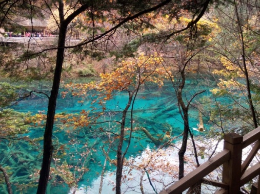 九寨沟清澈见底碧蓝色的湖水青山美景摄影图片
