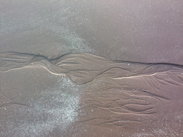 泥沙滩jpg_新图网 https://ixintu.com 沙滩 泥 纹