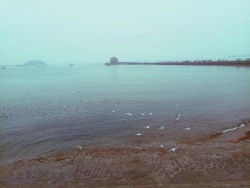 青岛海边青岛海边风景高清图片
