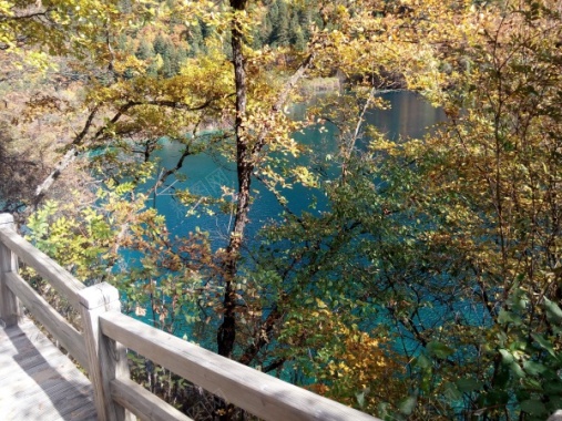 九寨沟林荫中看蓝色的河水摄影图片