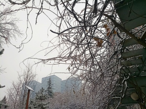 雪景摄影图片