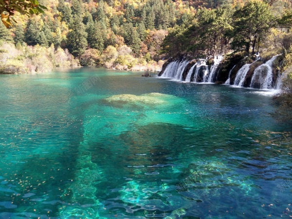 九寨沟清澈见底碧蓝色的湖水青山美景jpg_新图网 https://ixintu.com 九寨沟 清澈 湖水 美景 蓝色 青山