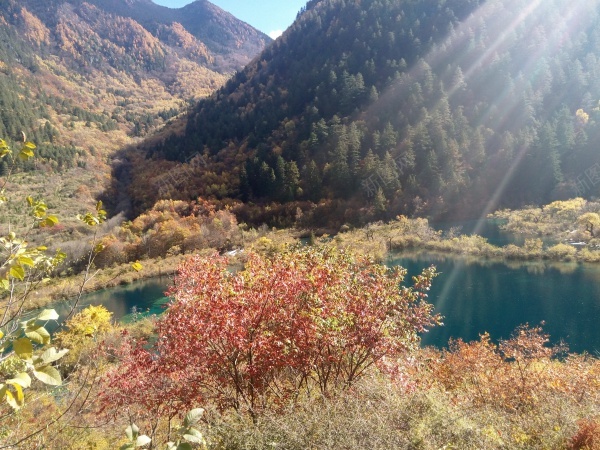 九寨沟清澈见底碧蓝色的湖水青山美景jpg_新图网 https://ixintu.com 九寨沟 清澈 湖水 美景 蓝色 青山