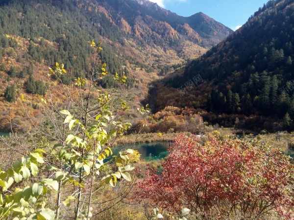 九寨沟清澈见底碧蓝色的湖水青山美景jpg_新图网 https://ixintu.com 九寨沟 清澈 湖水 美景 蓝色 青山