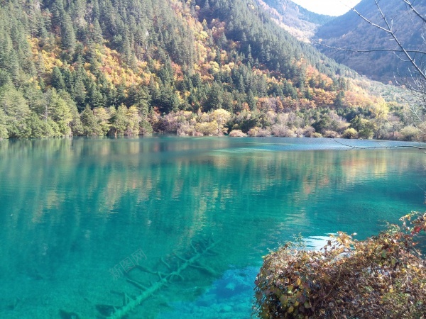 九寨沟清澈见底碧蓝色的湖水青山美景jpg_新图网 https://ixintu.com 九寨沟 清澈 湖水 美景 蓝色 青山