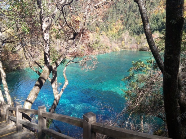 九寨沟清澈见底碧蓝色的湖水青山美景jpg_新图网 https://ixintu.com 九寨沟 清澈 湖水 美景 蓝色 青山