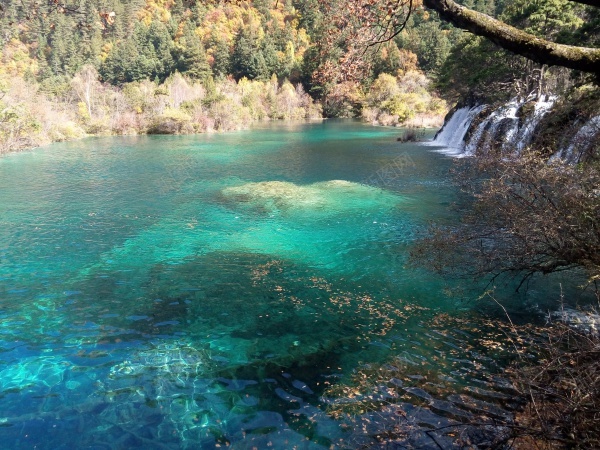 九寨沟清澈见底碧蓝色的湖水青山美景jpg_新图网 https://ixintu.com 九寨沟 清澈 湖水 美景 蓝色 青山