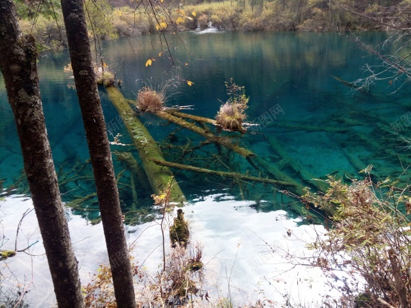 九寨沟清澈见底碧蓝色的湖水青山美景jpg_新图网 https://ixintu.com 九寨沟 清澈 湖水 美景 蓝色 青山