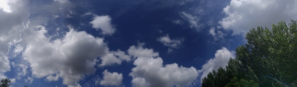 树木蓝天白云全景摄影图片