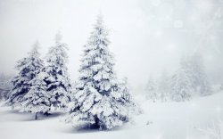 夏尔背景夏尔肯的雪冰川雪山沙漠枯树高清图片