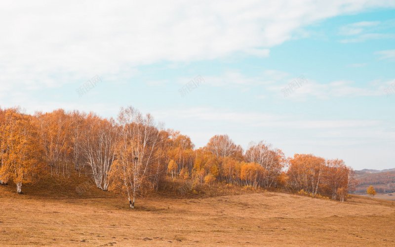 背景背景相关jpg设计背景_新图网 https://ixintu.com 背景 背景相关