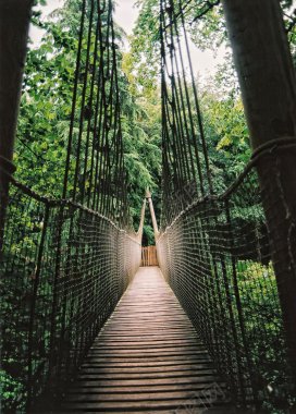 背景背景壁纸背景壁纸墙纸花纹背景