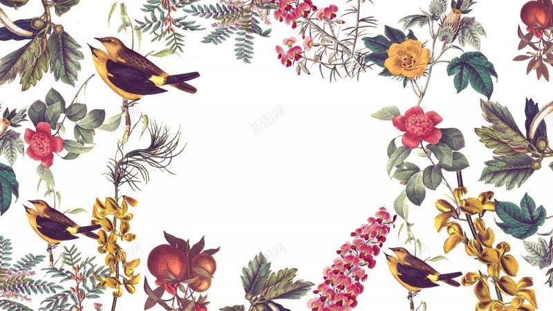 花背景中背景图片免费下载 素材0yqveapuq 新图网 花背景中背景图片免费下载 素材0yqveapuq 新图网