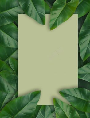 自然背景树叶棕榈叶背景叶子背景图片免费下载 素材0xqvejepk 新图网