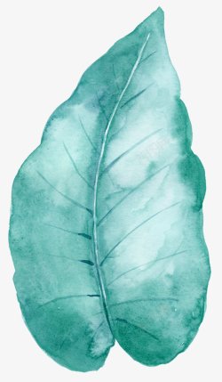 手绘彩绘植物绿叶花朵灬灬北坤人S化妆品饰品高素材