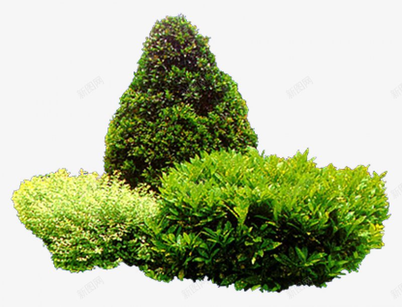 草坪草地草原小草环保树木绿色草丛摄影后期元素查看来png免抠素材_新图网 https://ixintu.com PNG素材 免抠素材 小草 摄影后期 绿色 草丛 草原 草地 草坪