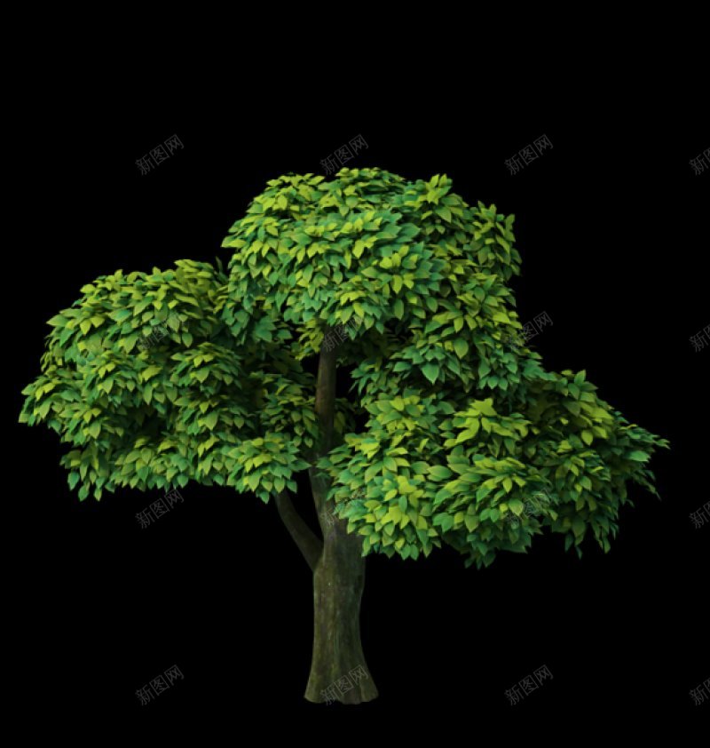 枝叶茂密的树3d花草树木模型png免抠素材_新图网 https://ixintu.com 3d花草树木模型下载 枝叶茂密的树