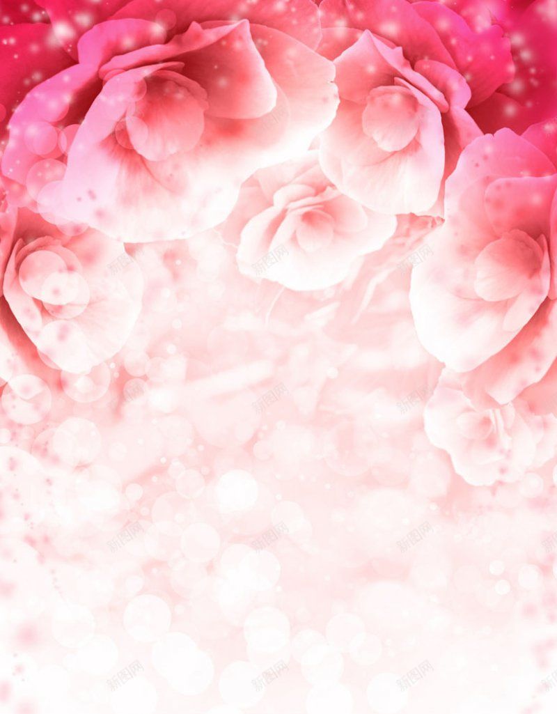 梦幻粉色鲜花背景花植物jpg设计背景_新图网 https://ixintu.com 梦幻粉色鲜花背景图片 花植物