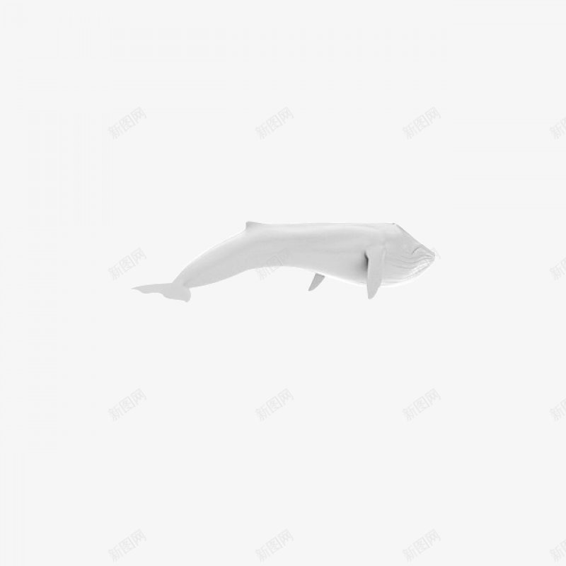 动物鲸鱼手绘素材png免抠素材_新图网 https://ixintu.com 动物  海洋  鲸鱼 鱼
