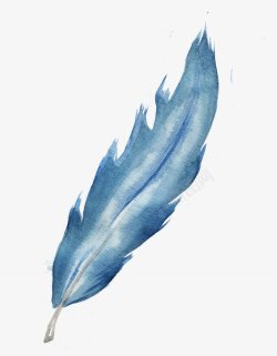 水彩手绘蓝白花彩羽毛装饰图素材