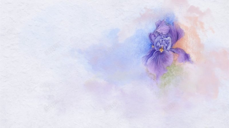 浓郁紫色花朵背景背景jpg设计背景_新图网 https://ixintu.com 浓郁紫色花朵背景图片 背景