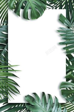 植物包围自然背景树叶植物包围背景叶高清图片