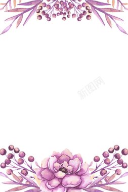 粉色牡丹背景图专辑Vol011粉色牡丹背景