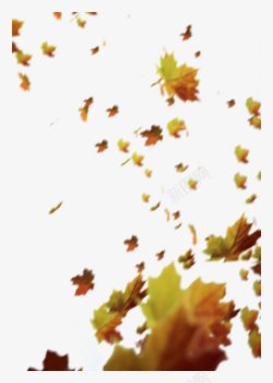 秋叶子落叶纷飞秋天枫叶树叶飘落黄叶子前景影楼摄影后期高清图片