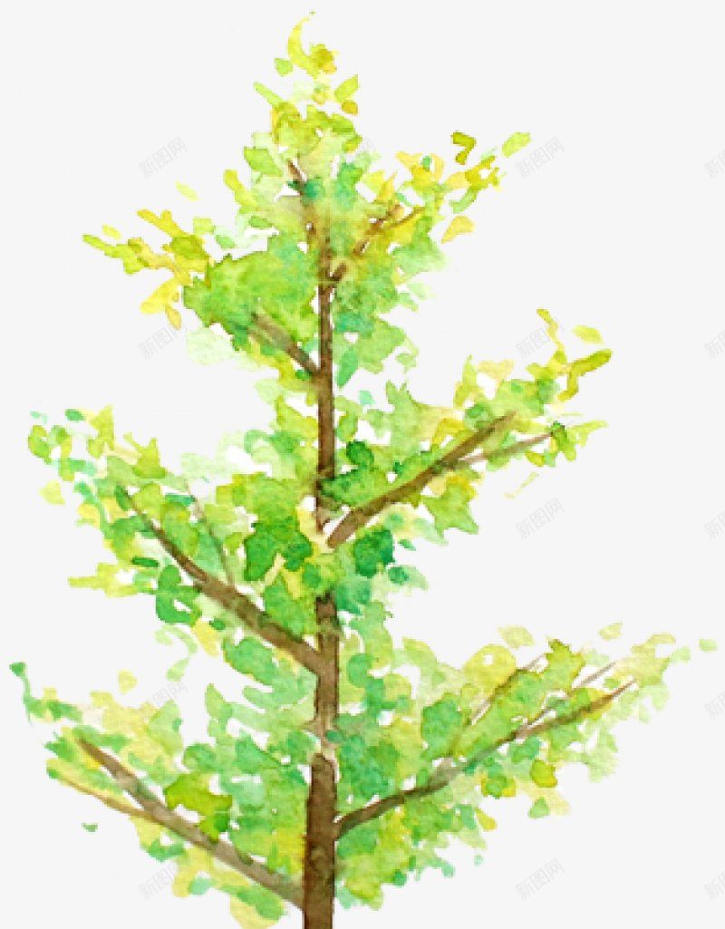 图手绘水彩树木专辑Vol001秋冬树木手绘水彩树集png免抠素材_新图网 https://ixintu.com 专辑Vol 冬季光秃秃的树木 各种树木的绿色和金色 图 手绘水彩树木