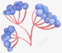新鲜的水果蓝莓绘画插图素材