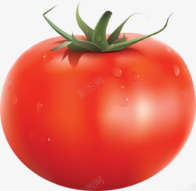 西红柿番茄食物水果赞wwwzansheji图标图标