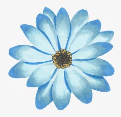 手绘蓝色花卉花朵植物鲜花素材