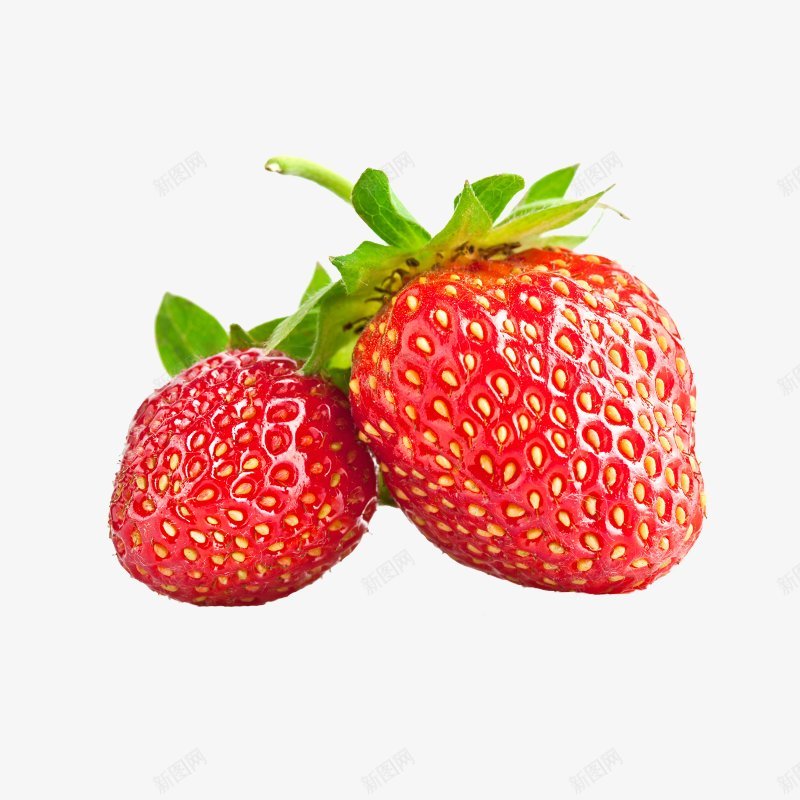 草莓水果F果蔬食材png免抠素材_新图网 https://ixintu.com F 果蔬 草莓水果 食材