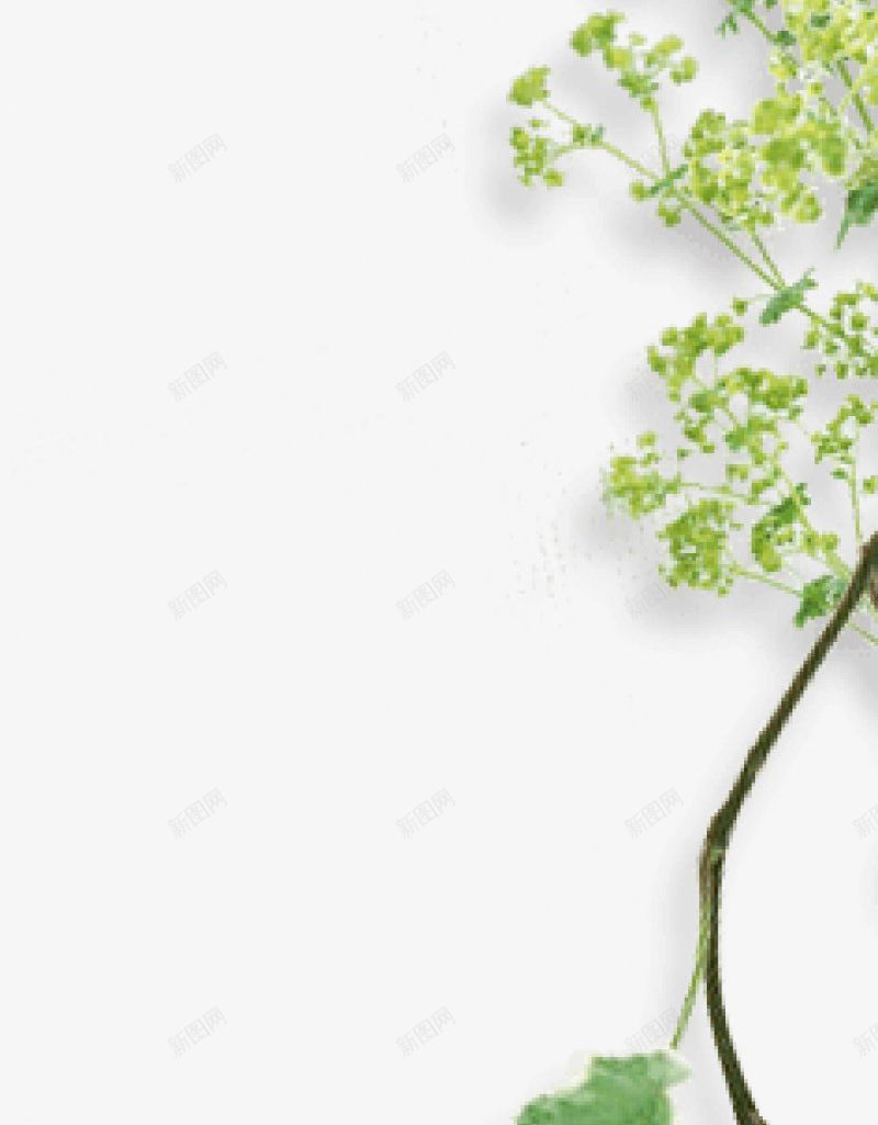 透明背景鲜花树木植物平面花png免抠素材_新图网 https://ixintu.com 平面花 透明背景鲜花树木植物