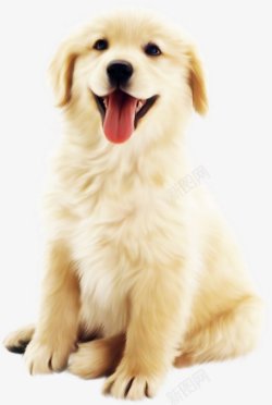 人性化扁平米白色可爱狗狗卡通动物插画高清图片