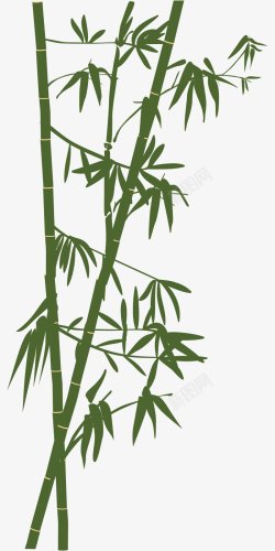 清明节手绘竹子节日清明节素材