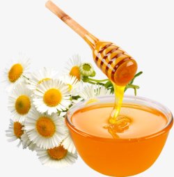 蜂蜜食品素材