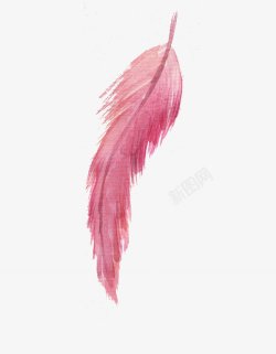 水彩手绘粉红花羽装饰图素材