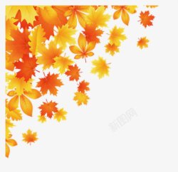手绘秋天的枫叶漂浮图素材
