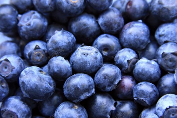 蓝莓背景图片水果蔬菜水果蔬菜坚果背景